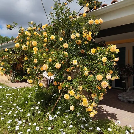 Privat bolig Casa Da Aldeia