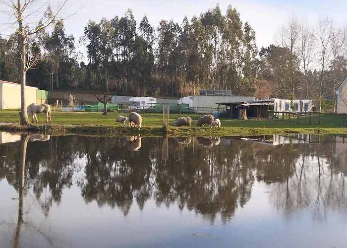 Privat bolig Casa Da Aldeia *