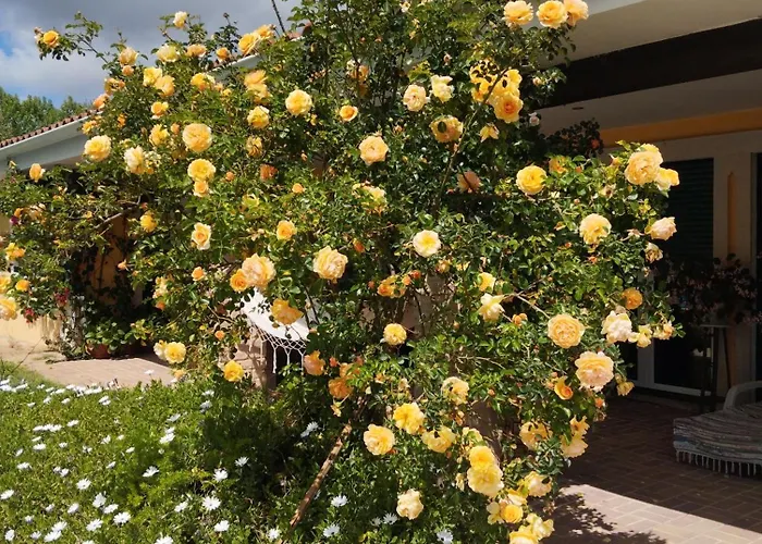 Privat bolig Casa Da Aldeia